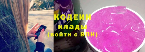 дживик Бородино