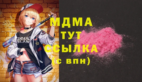 дживик Бородино