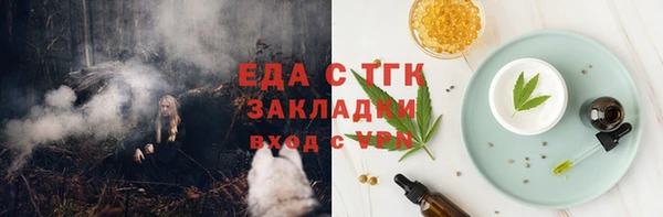 дживик Бородино