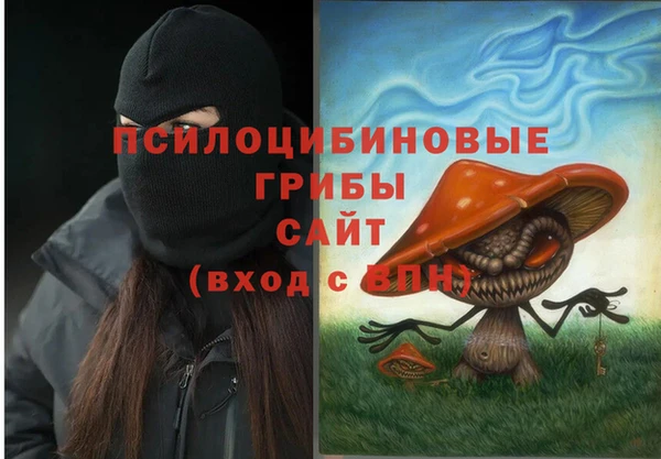 дживик Бородино