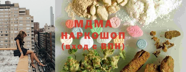 дживик Бородино