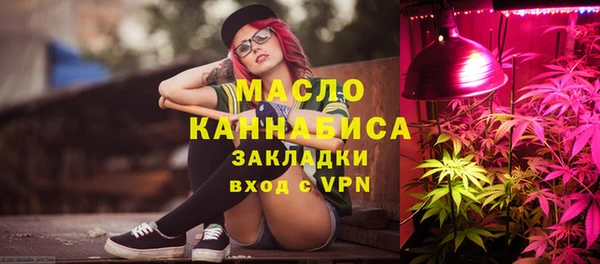 дживик Бородино