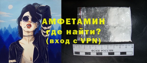 дживик Бородино