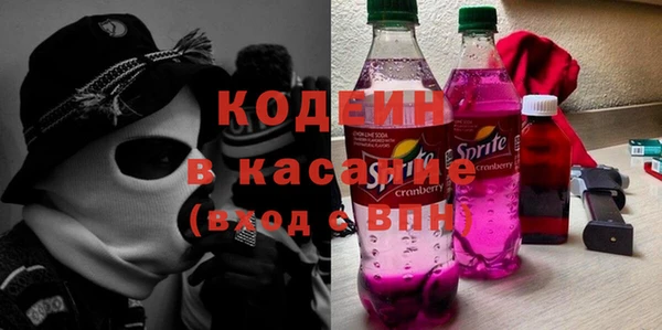 дживик Бородино
